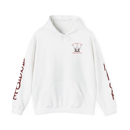 Santas Got A Brand New Bag Hoodie